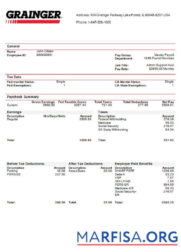 Realistic USA Grainger industry company pay stub real example